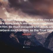 6552338 andrew murray quote a soul filled with large thoughts of the vine